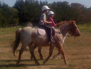 02102008 Lena Riders Horse training 056